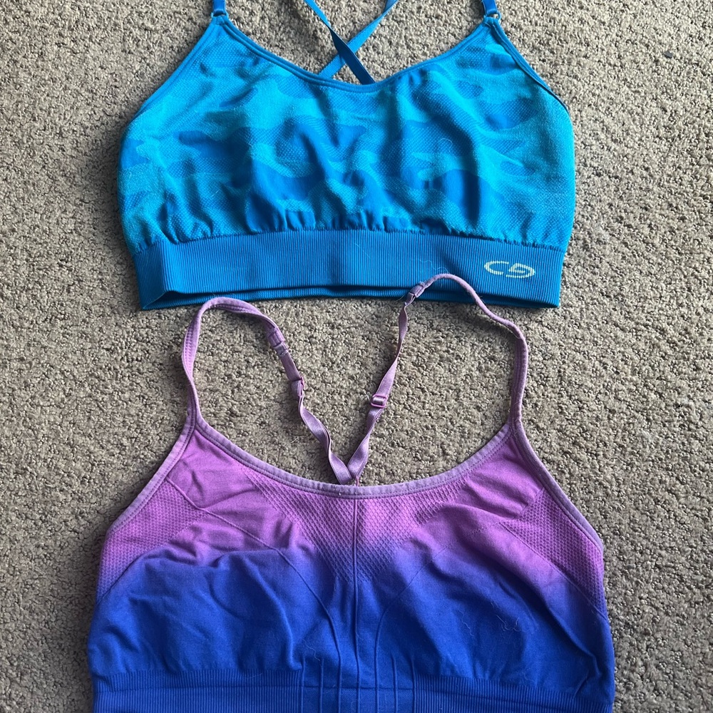 Blue and Purple Ombre Sports Bras
